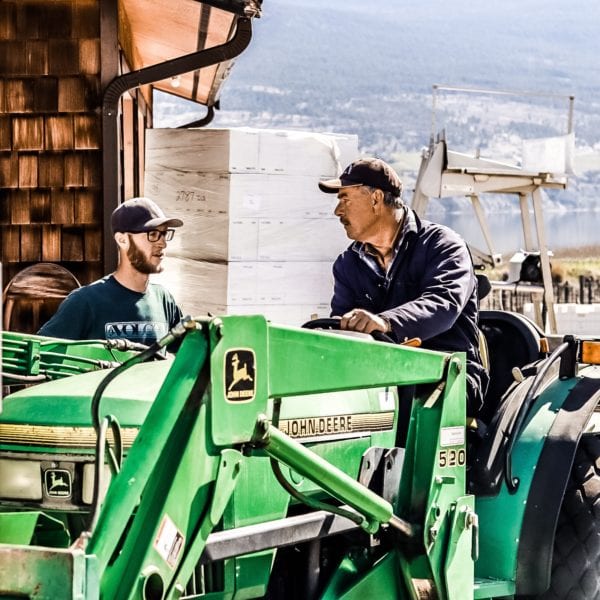 Heaven's Gate Winery production day for bottling, Tyson's dad on a tractor chatting to Tyson