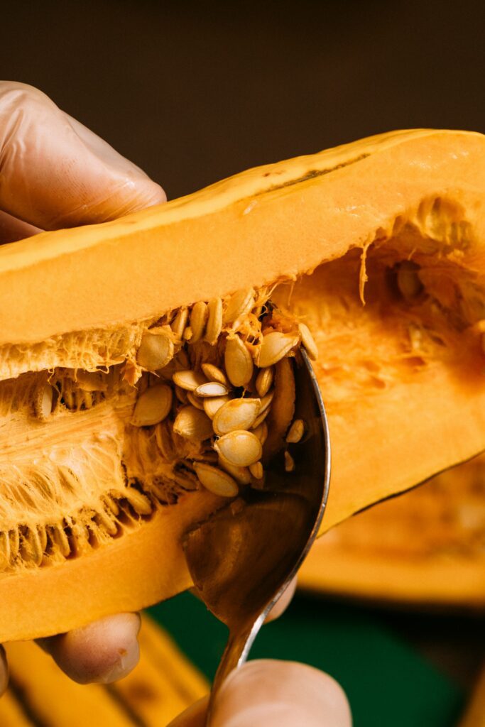 a closeup of a spoon removing seeds from a butternut squash.